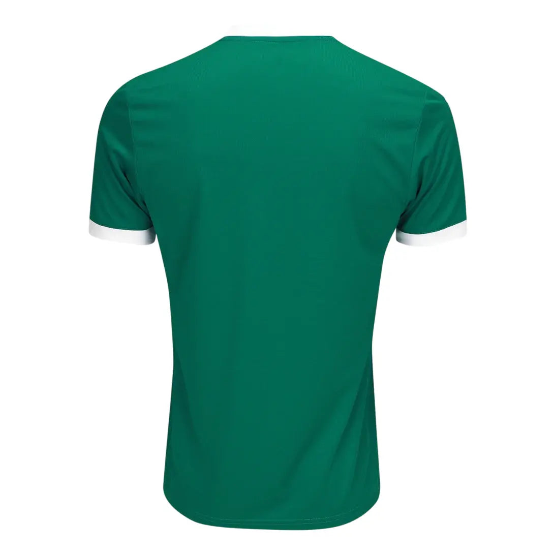 Camisa Palmeiras 2025 Home - Masculina